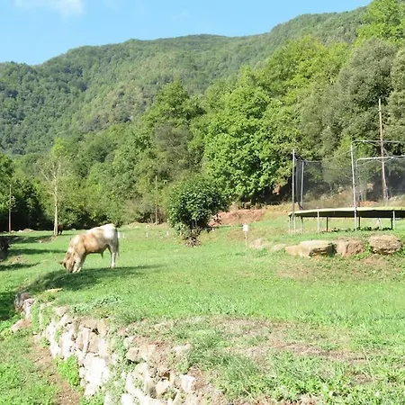 Llevant, El Moli De La Plana * Riudaura