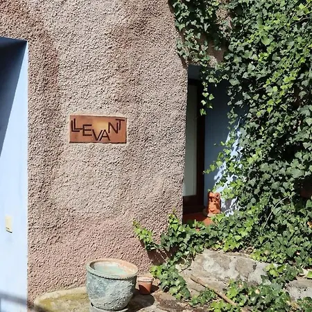 Llevant, El Moli De La Plana *